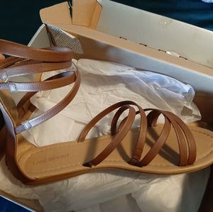LANE Bryant Tannin ankle Gladiator Sandal